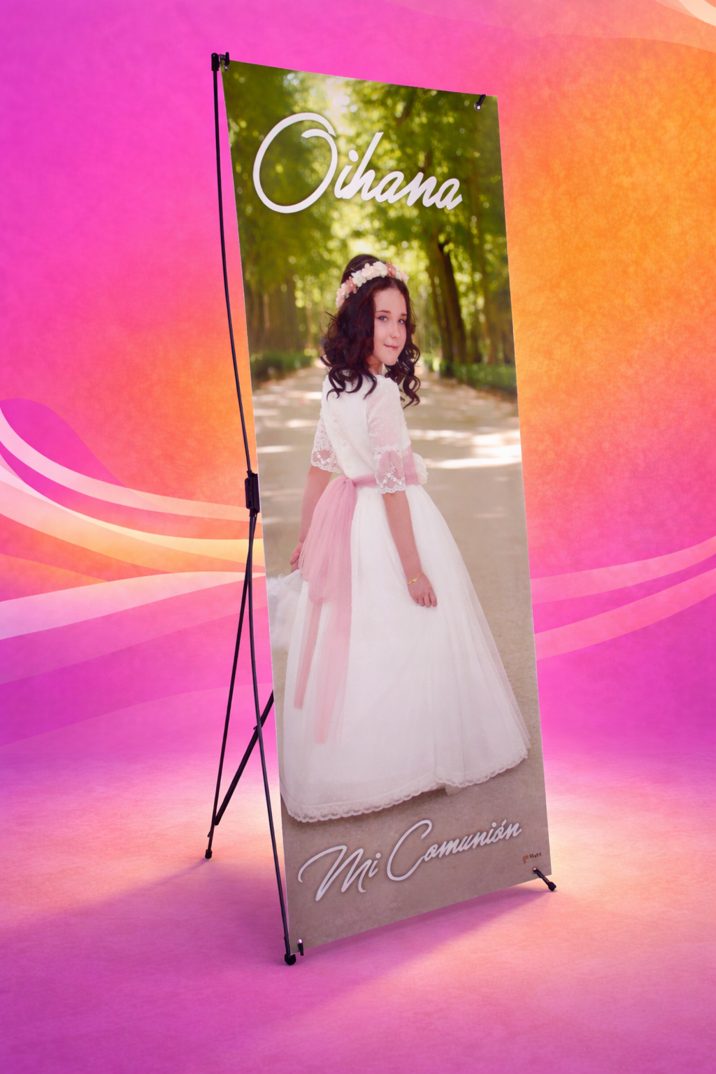 Banner de araña